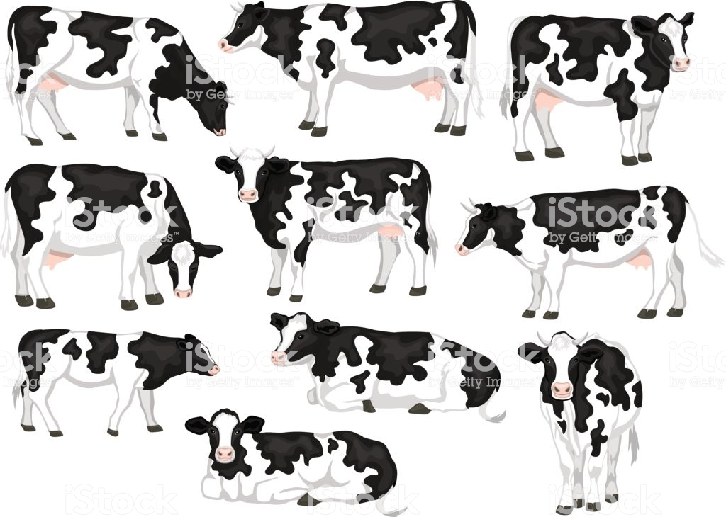 dairy-cow-clip-art-20-free-cliparts-download-images-on-clipground-2024