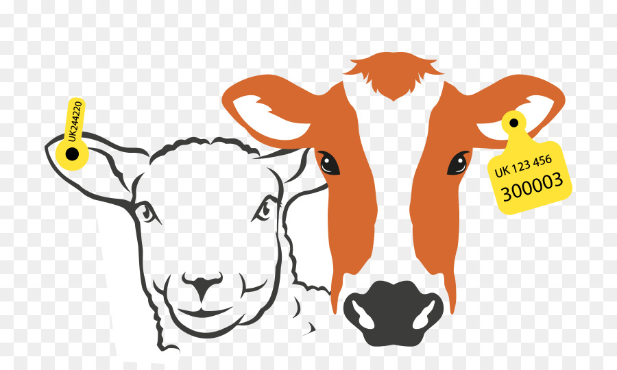 Cow Background clipart.