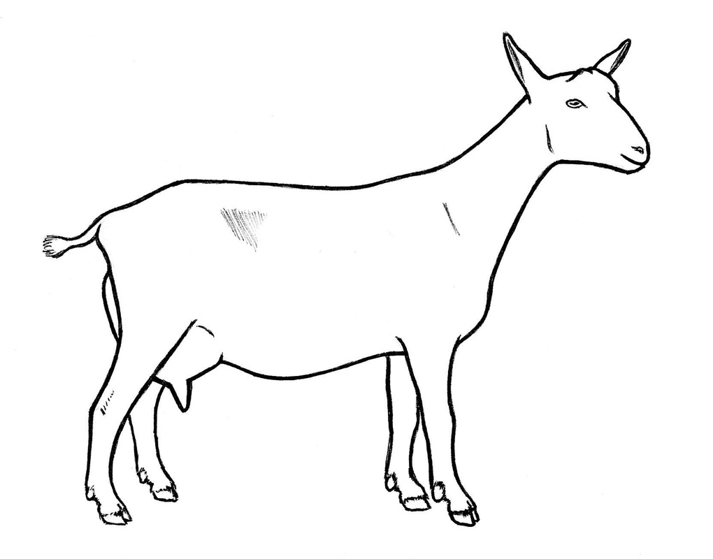 Dairy Goat Clip Art 20 Free Cliparts Download Images On Clipground 2022
