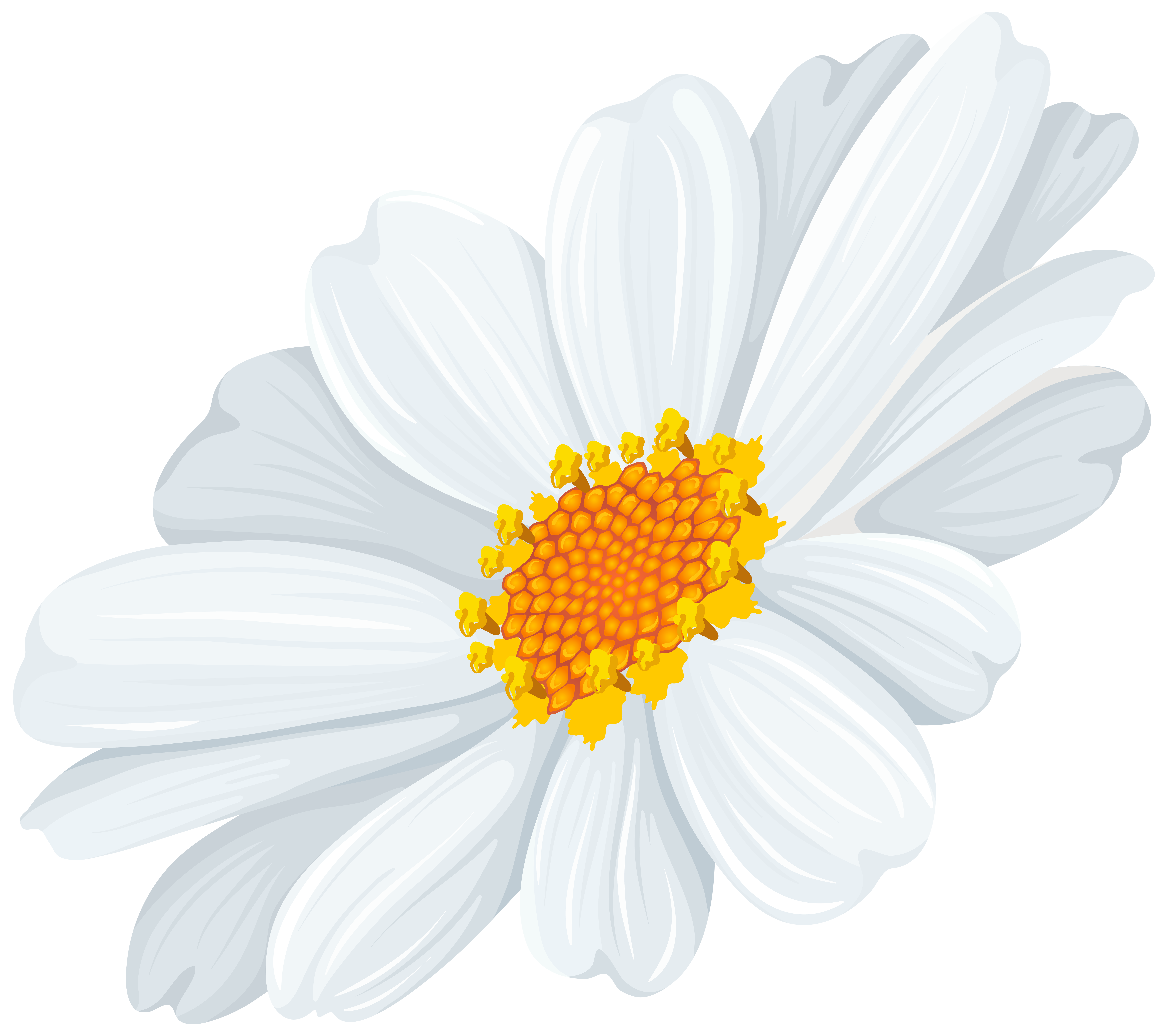 Download Daisy family clipart 20 free Cliparts | Download images on Clipground 2021