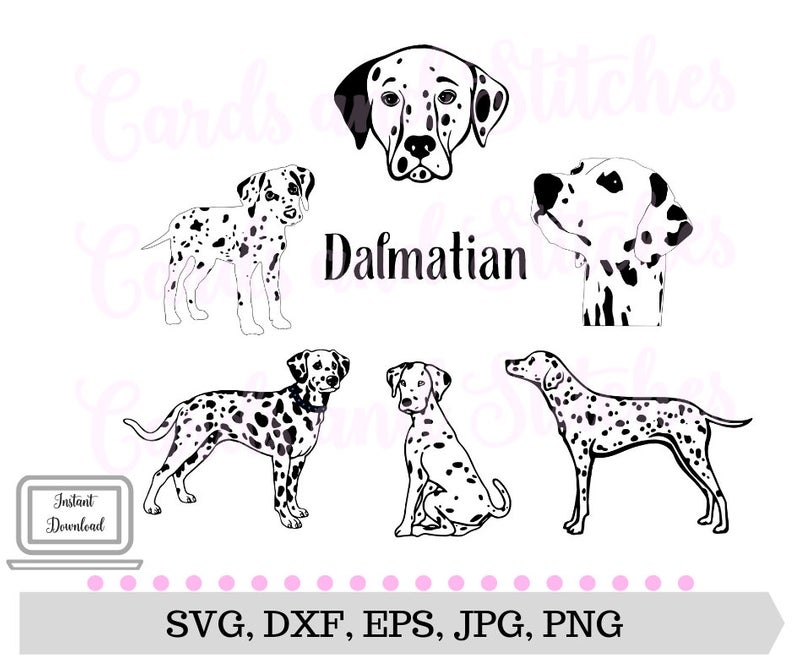 Dalmatian SVG.