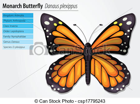 EPS Vector of Monarch butterfly.