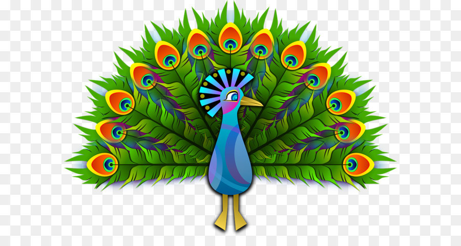 Peacock Feather Background.