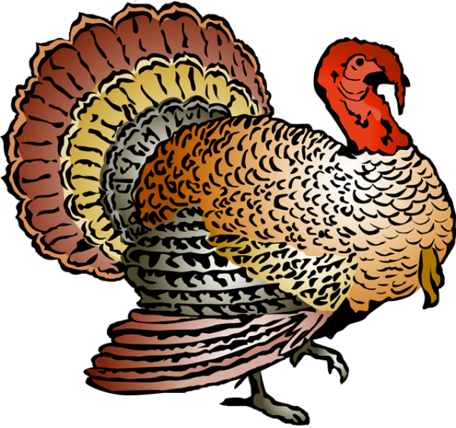 Dancing Turkey Clipart Free 20 Free Cliparts Download Images On 