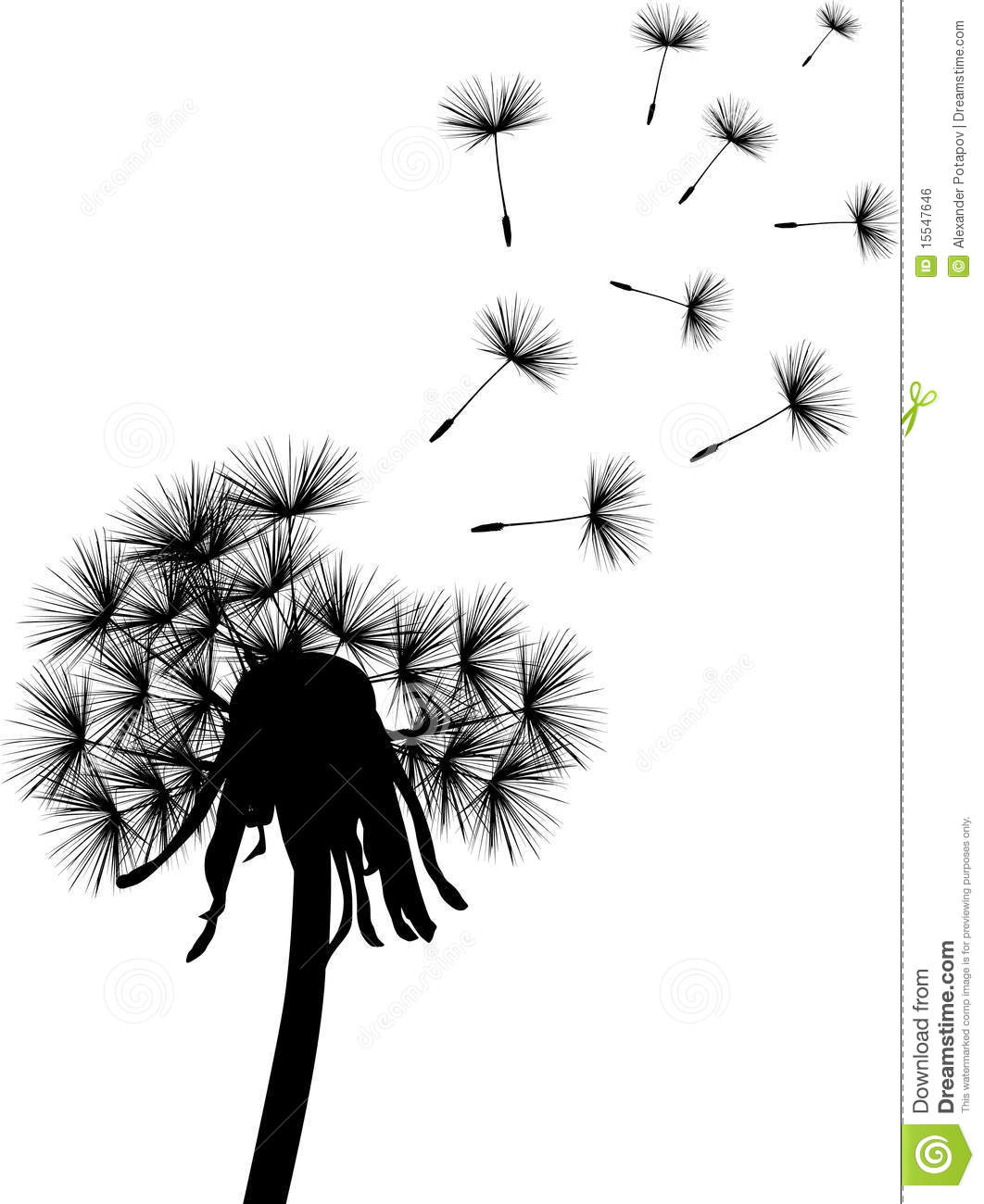 Black dandelion plant stock vector. Illustration of fragility.