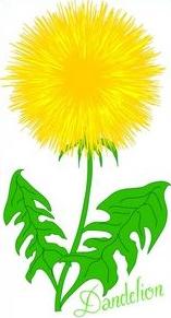 Free Dandelion Clipart.