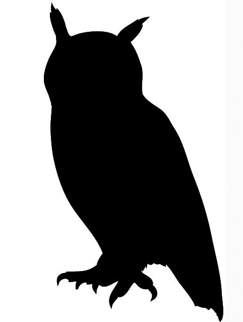 1000+ ideas about Owl Silhouette on Pinterest.