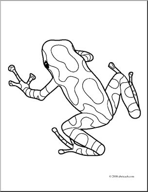 Clip Art: Frogs: Pasco Poison Dart Frog (coloring page).