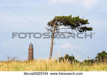 Stock Photo of Darsser Ort lighthouse behind a wind.