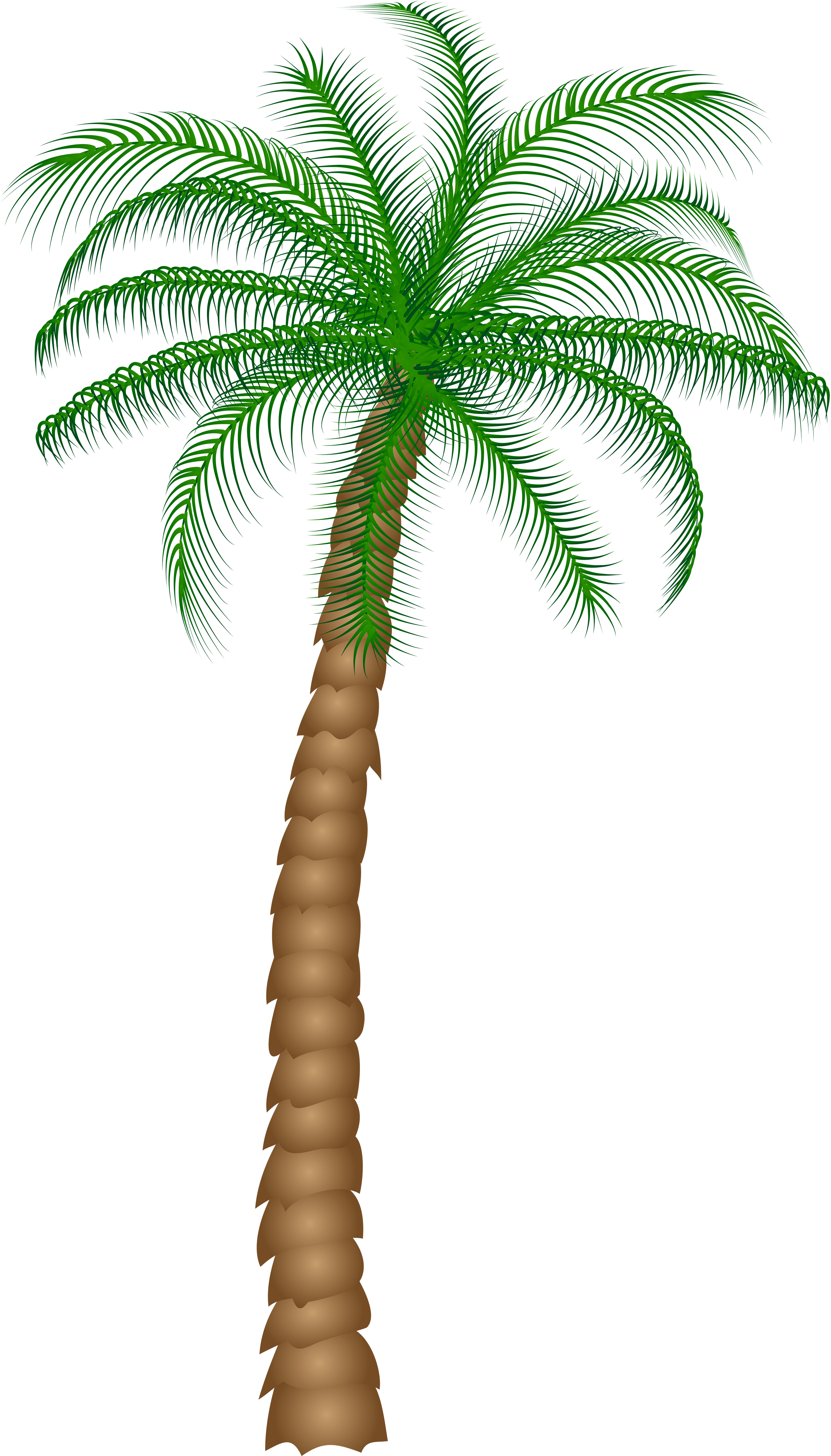 date palm clip art 20 free Cliparts | Download images on Clipground 2025