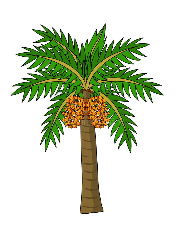 Date Palm Clip Art 20 Free Cliparts Download Images On