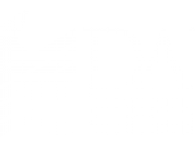Duaghters Of American Revolution Logo Vector 2.