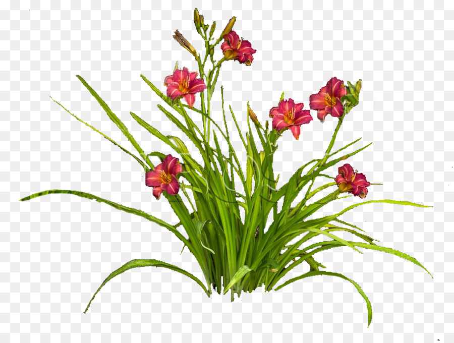 Flowers Clipart Background png download.