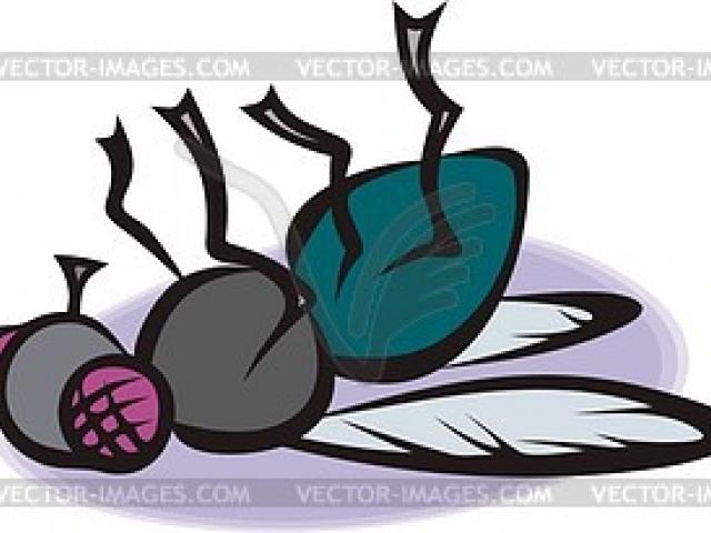 Free Fly Clipart, Download Free Clip Art on Owips.com.