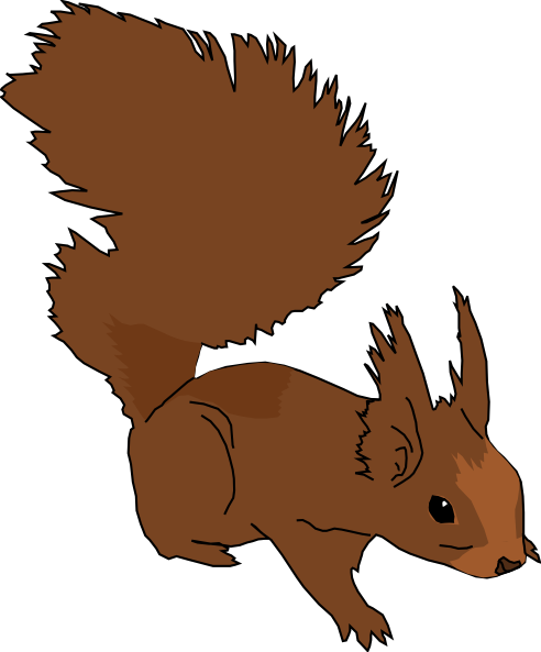 Dead squirrel clipart 20 free Cliparts | Download images on Clipground 2022
