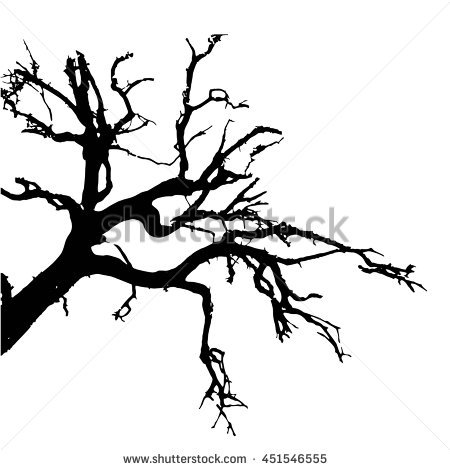 Silhouette Of A Dead Tree.
