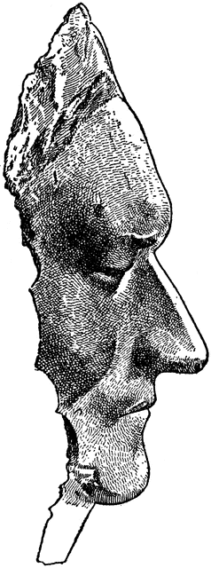 Death Mask of Sir Isaac Newton.