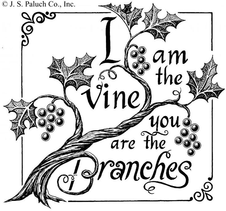 1000+ images about I am the vine, you are the branches on.