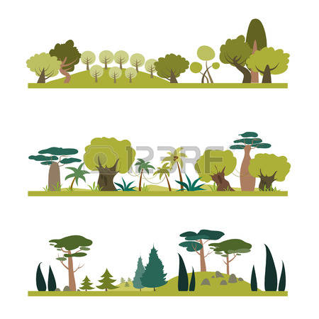 12,295 Conifer Stock Vector Illustration And Royalty Free Conifer.