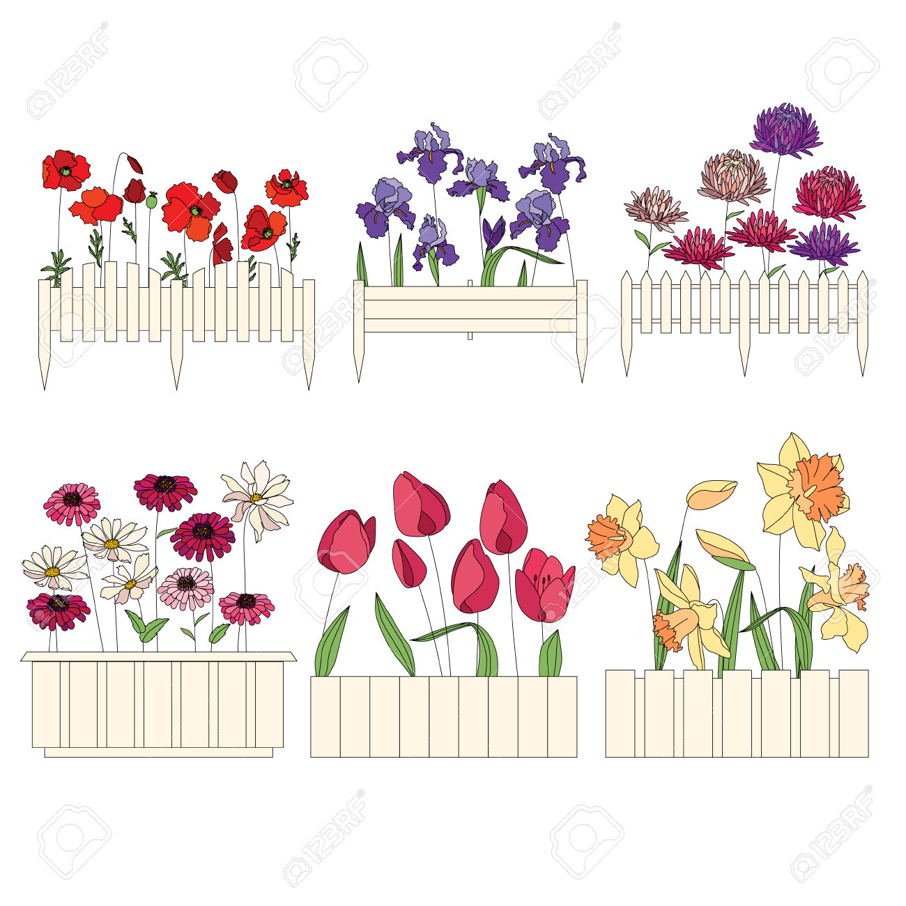 Flower Pots With Cultivated Flowers. Decorative Fence. Plants.