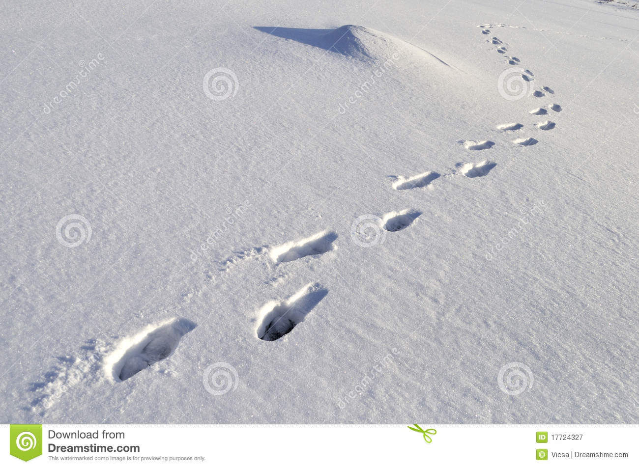 Human Footprints Deep Snow Stock Photos, Images, & Pictures.