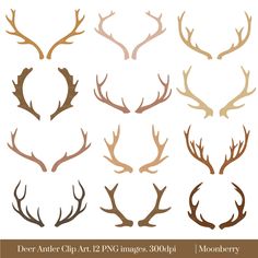 deer antler clip art.