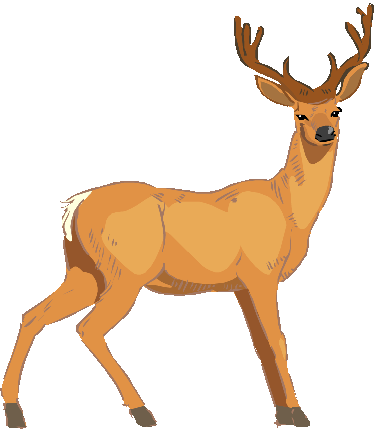 Deer Clipart.
