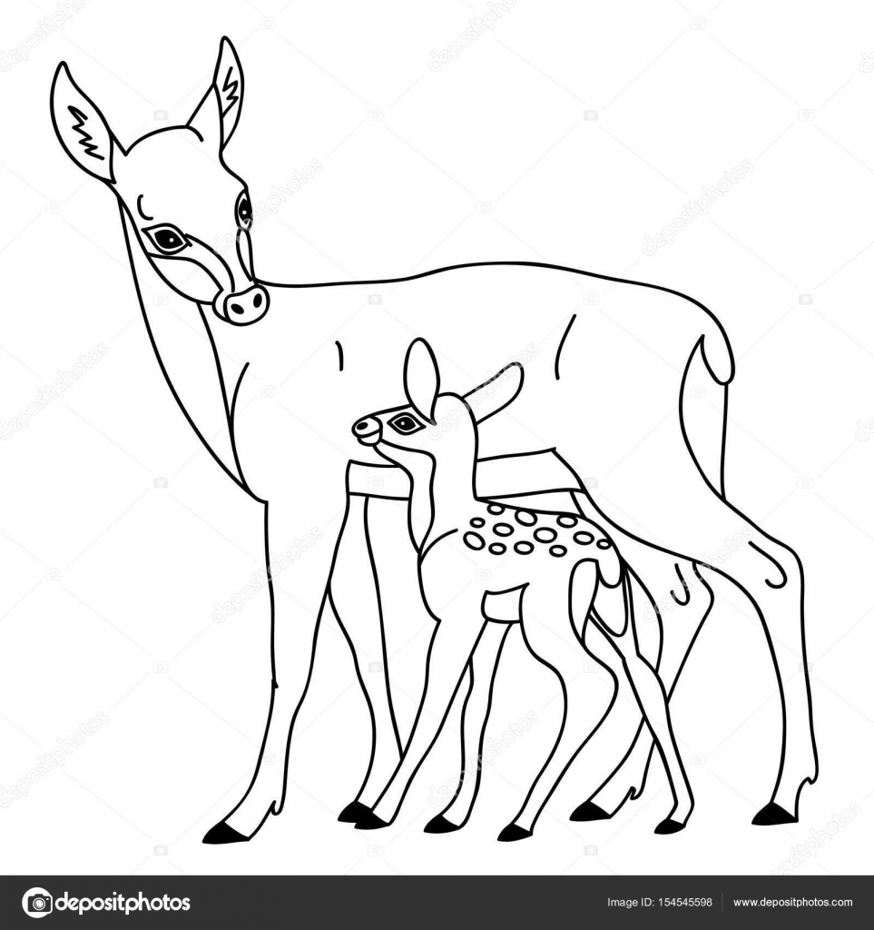 Clipart: baby deer black and white.