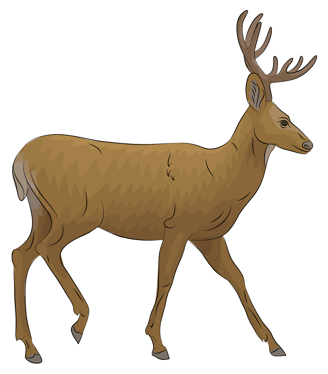 Deer Pictures Clipart 10 Free Cliparts Download Images On Clipground 2023