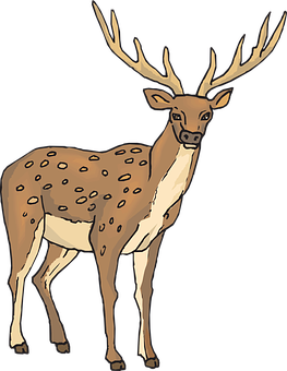 deer drinking water clipart 20 free Cliparts | Download images on ...