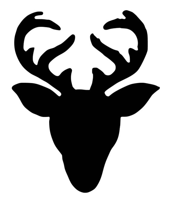 Deer Head Antlers.