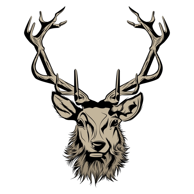 Head Of Deer Illustration, Stag, Illustration, Animal PNG and Vector.