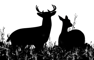 Deer hunting clip art clipart free download.