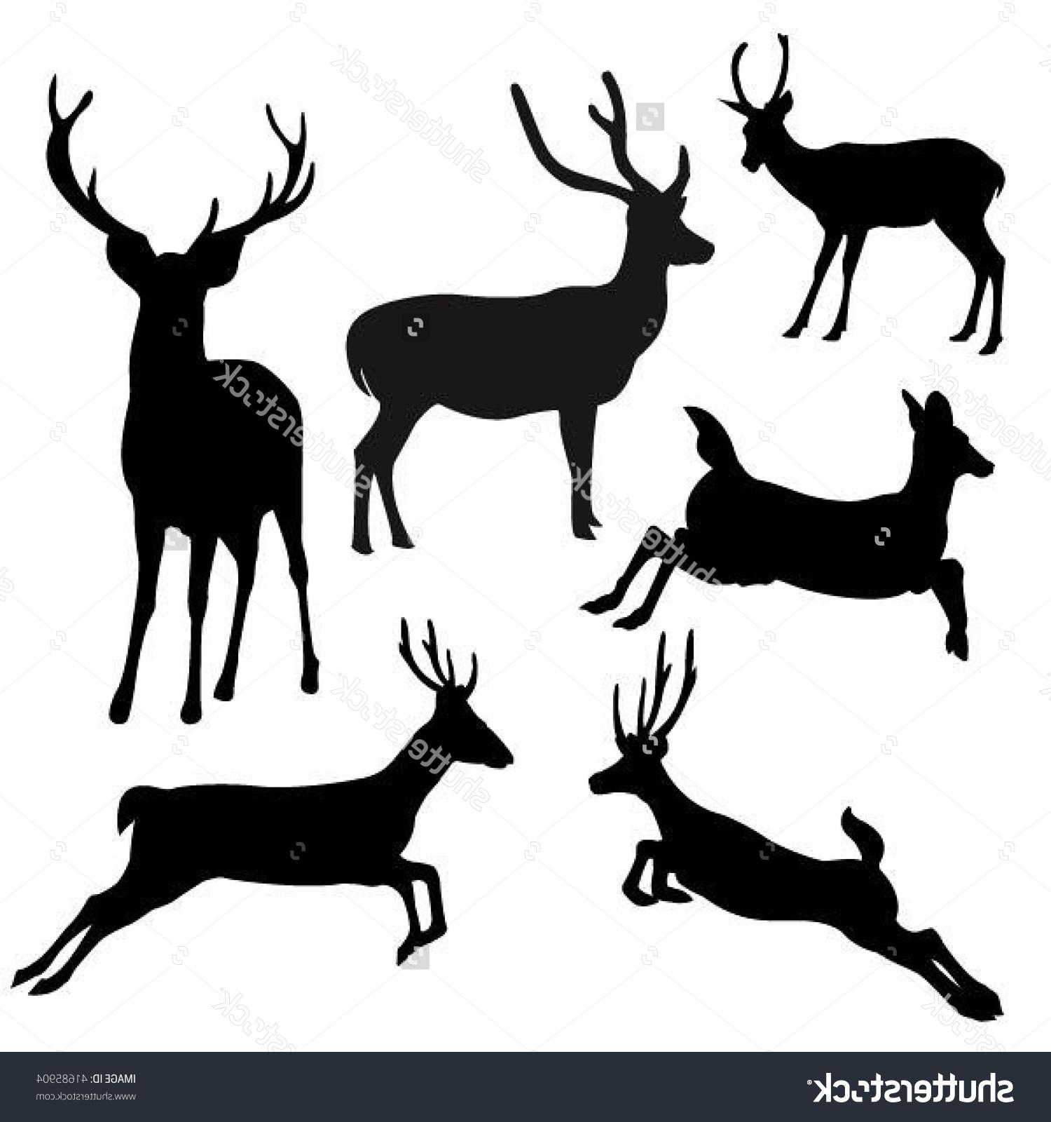 Unique Deer Vector Pictures.