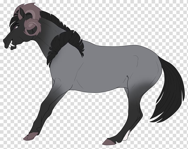 Mane Mustang Stallion Foal Colt, degenerate transparent.