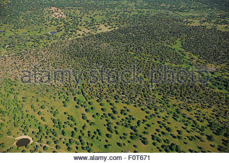 Aerial View Of Pond Stock Photos & Aerial View Of Pond Stock.