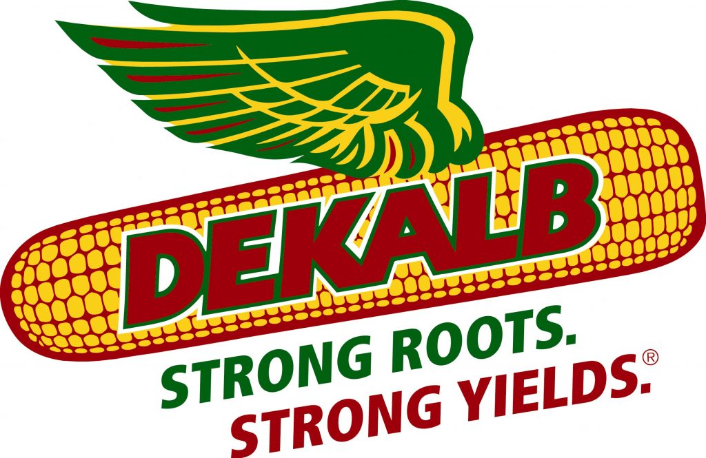 Dekalb Council for the Arts, Inc. Logo.