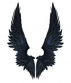 3d illustration demon wings, black wing plumage isolated on white.