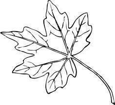 White Oak Leaf Outline.