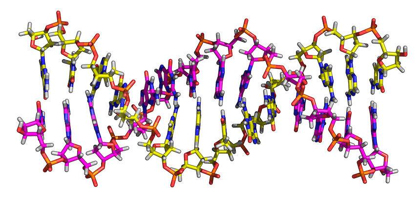 DNA Helix Molecule.jpg.