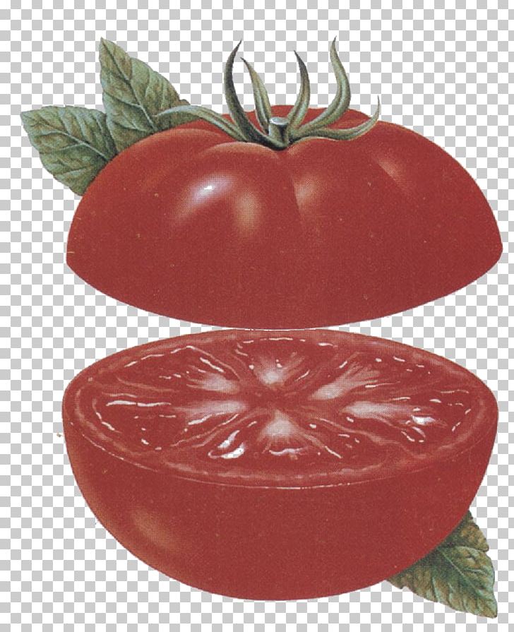 Tomato Depósitos De Calcio Mineral Calcium Depression PNG.