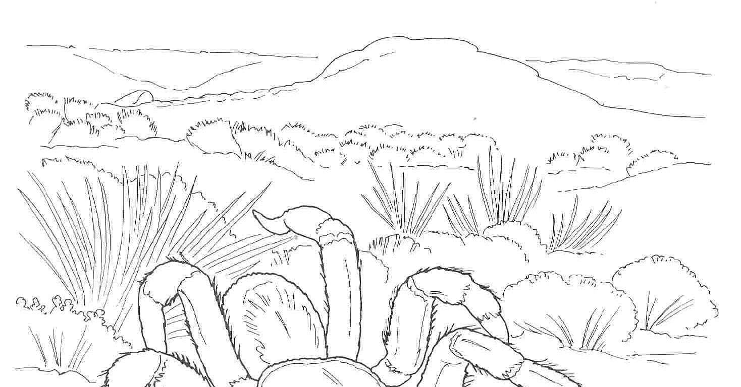 Download 107 Nature Deserts Coloring Pages Png Pdf File Download