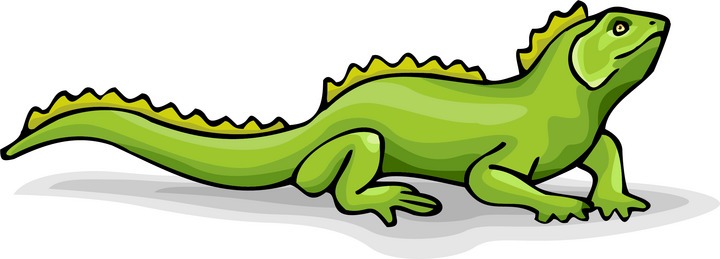 Iguana clipart 20 free Cliparts | Download images on Clipground 2022