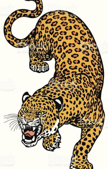 El leopardo desobediente.