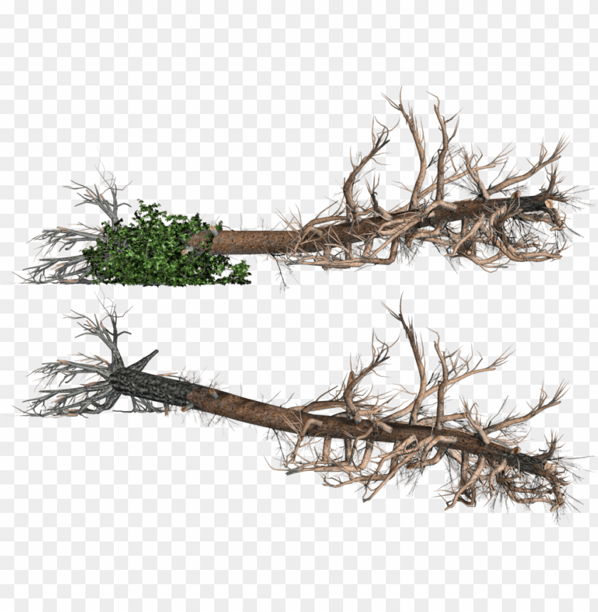 fallen trees 02 png stock by roy3d on deviantart stock.