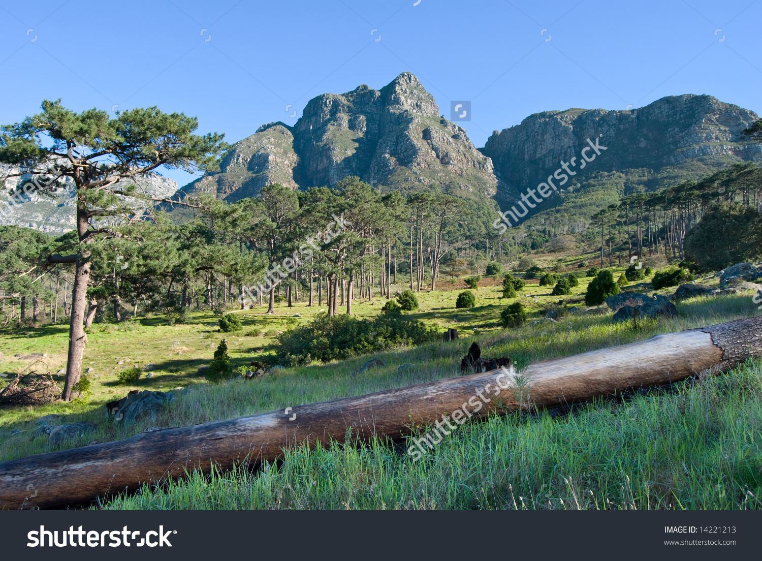 Devil'S Peak In Cape Town, South Africa. Stock Photo 14221213.