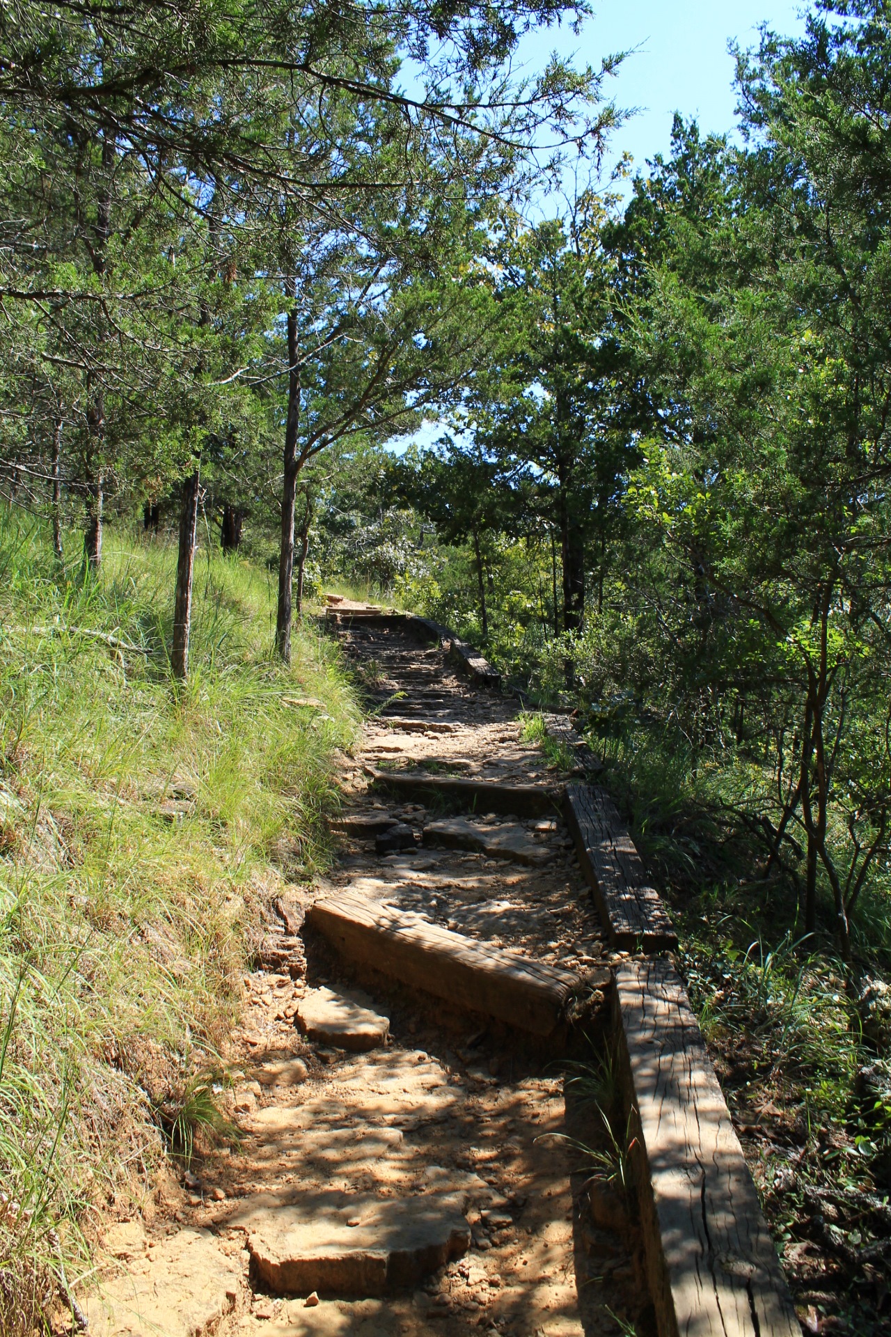 Devil's Den: Yellow Rock Trail.