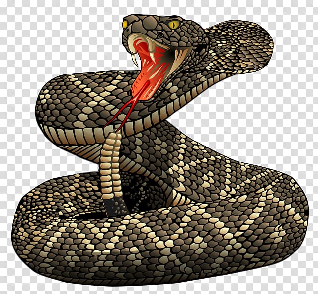 Brown and beige snake illustration, Western diamondback rattlesnake.