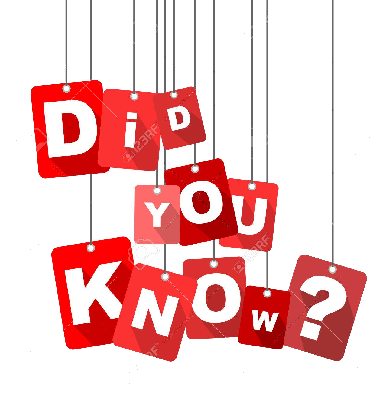 Did You Know Png Png Image Collection