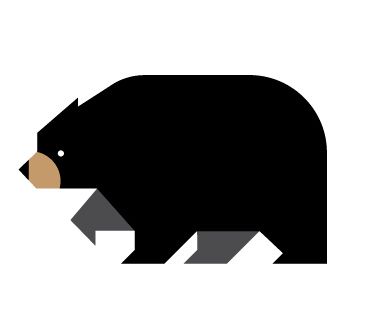 bear.